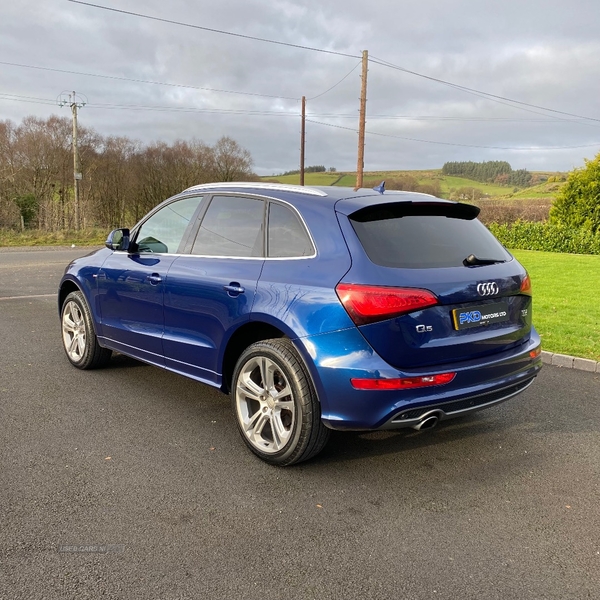 Audi Q5 ESTATE SPECIAL EDITIONS in Tyrone