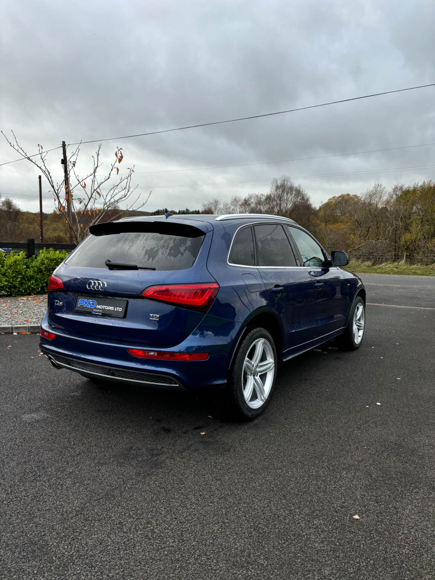 Audi Q5 ESTATE SPECIAL EDITIONS in Tyrone