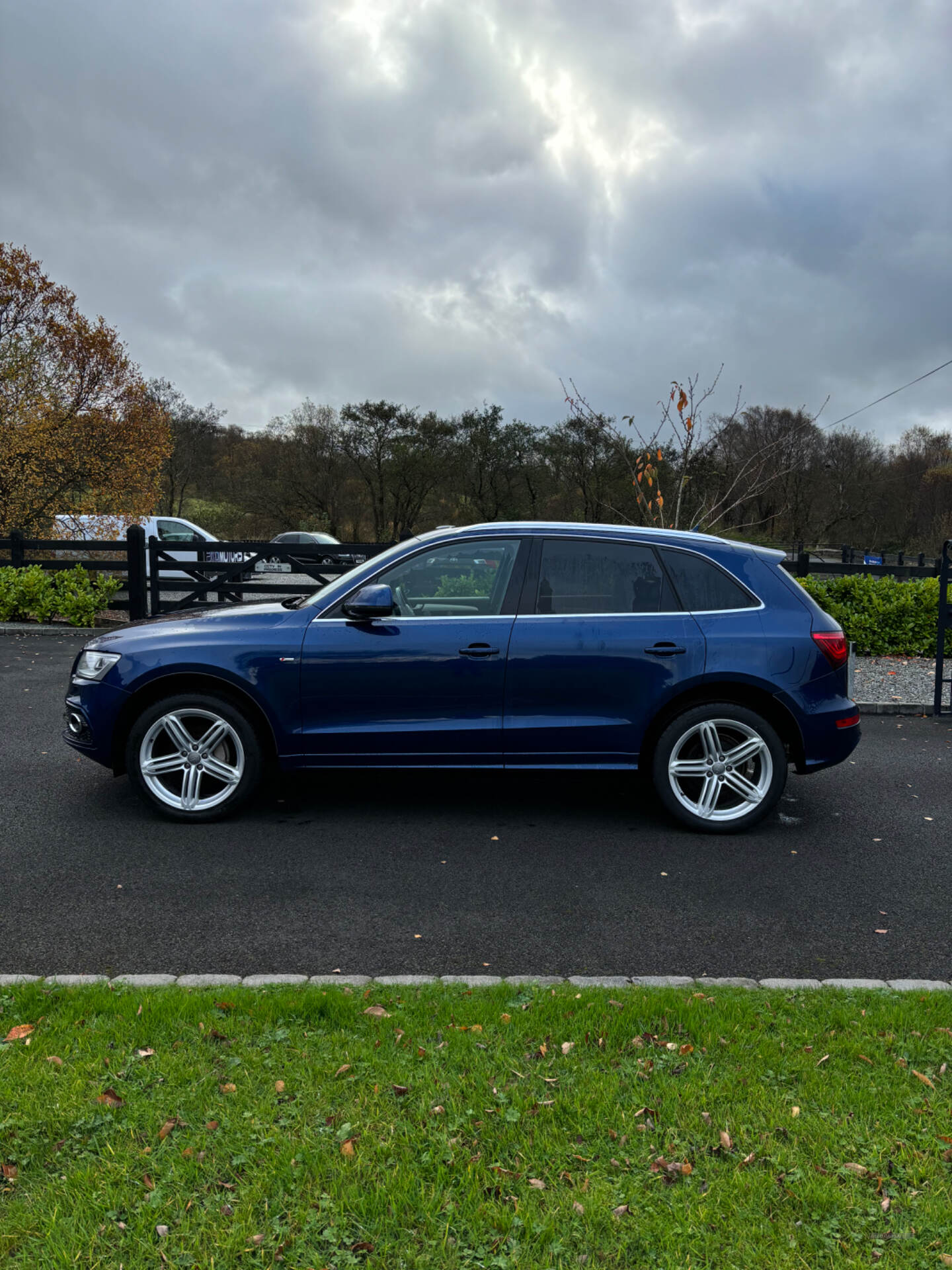 Audi Q5 ESTATE SPECIAL EDITIONS in Tyrone