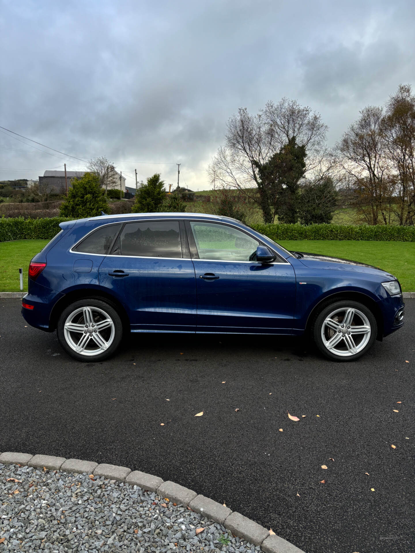 Audi Q5 ESTATE SPECIAL EDITIONS in Tyrone