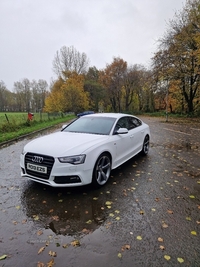 Audi A5 2.0 TDIe 136 S Line 5dr [5 Seat] in Derry / Londonderry