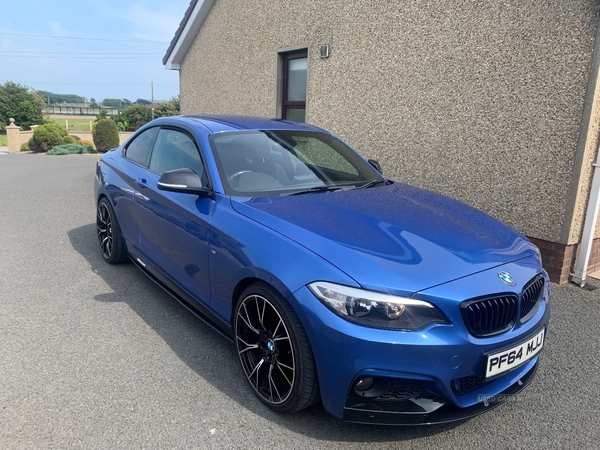 BMW 2 Series 218d M Sport 2dr in Down