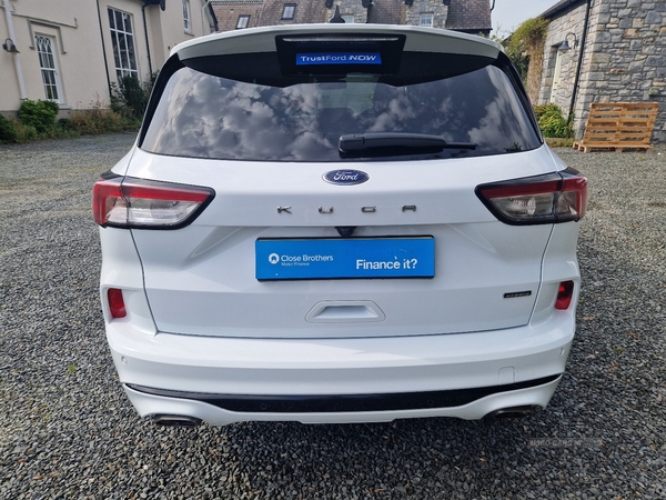 Ford Kuga ESTATE in Armagh