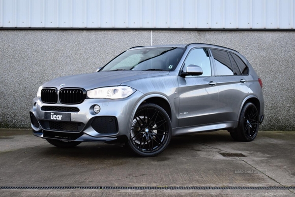 BMW X5 3.0 X5 xDrive30d M Sport in Derry / Londonderry