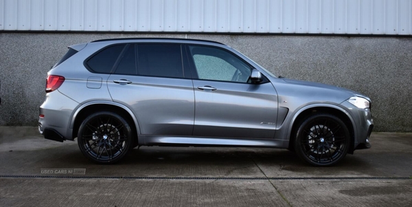 BMW X5 3.0 X5 xDrive30d M Sport in Derry / Londonderry