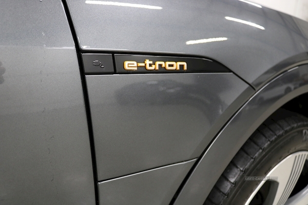 Audi E-Tron 230kW 50 Quattro 71kWh S Line 5dr Auto in Down