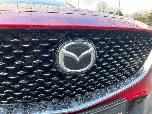 Mazda CX-30 SPORT LUX MHEV AUTO in Tyrone