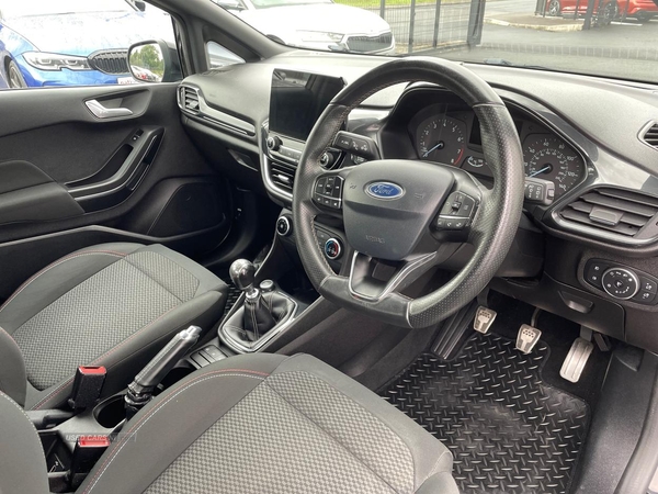 Ford Fiesta ECO BOOST 140 ST-LINE in Tyrone