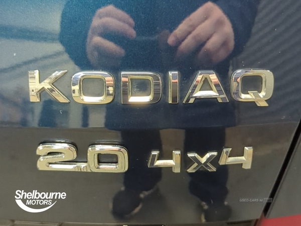 Skoda Kodiaq 2.0 TDI Edition SUV 5dr Diesel DSG 4WD (5 Seat) (190 ps) in Armagh