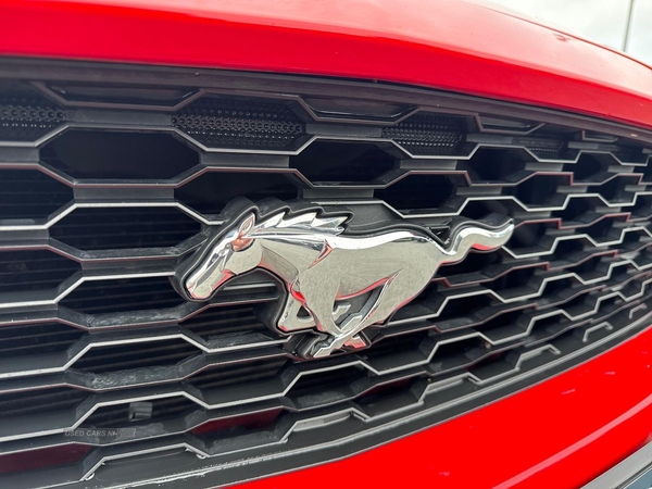 Ford Mustang 2.3 Ecoboost 2Dr in Armagh