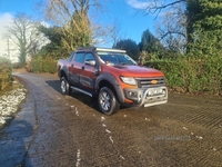 Ford Ranger Pick Up Double Cab Wildtrak 3.2 TDCi 4WD in Derry / Londonderry