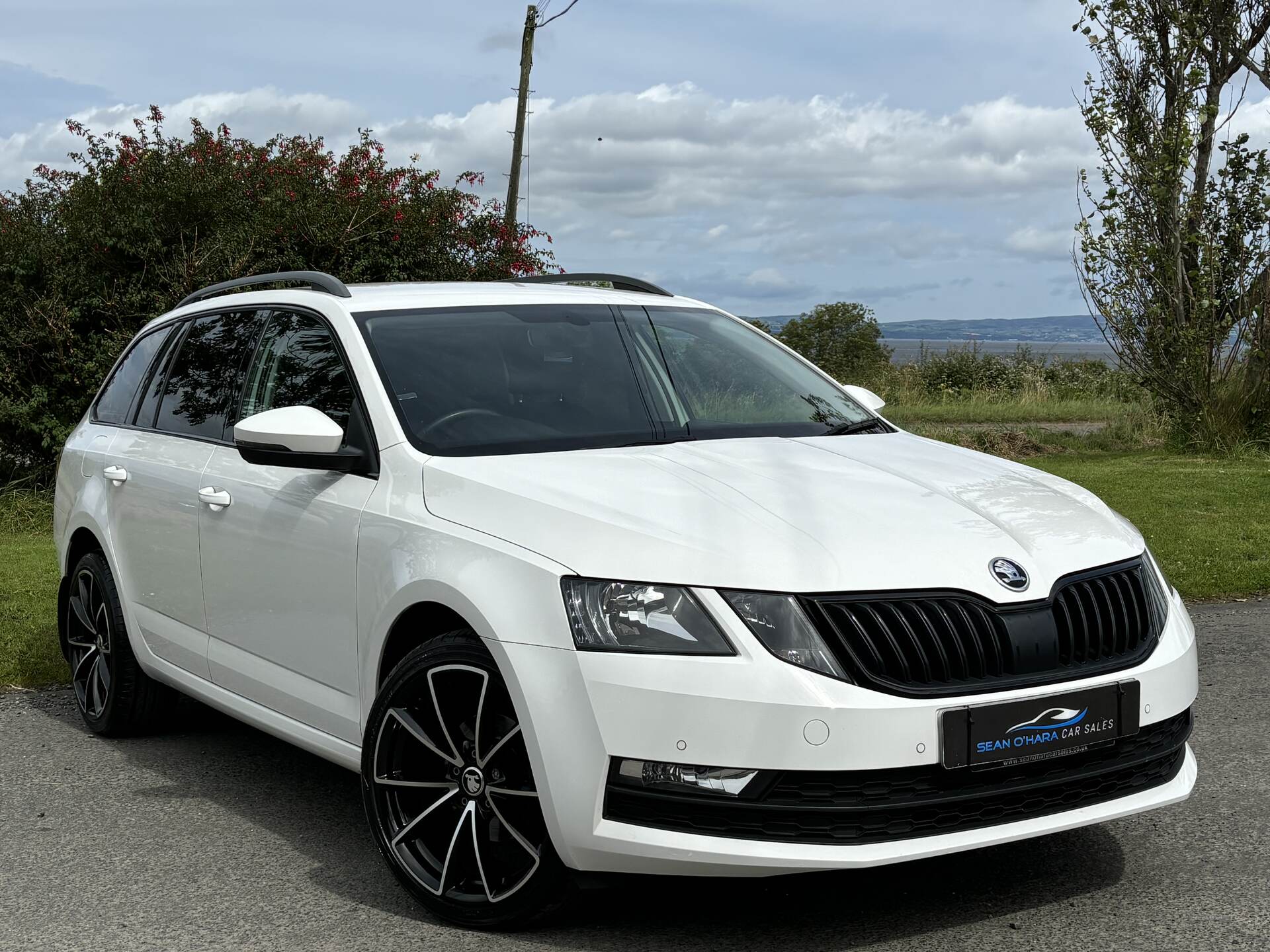 Skoda Octavia DIESEL ESTATE in Derry / Londonderry