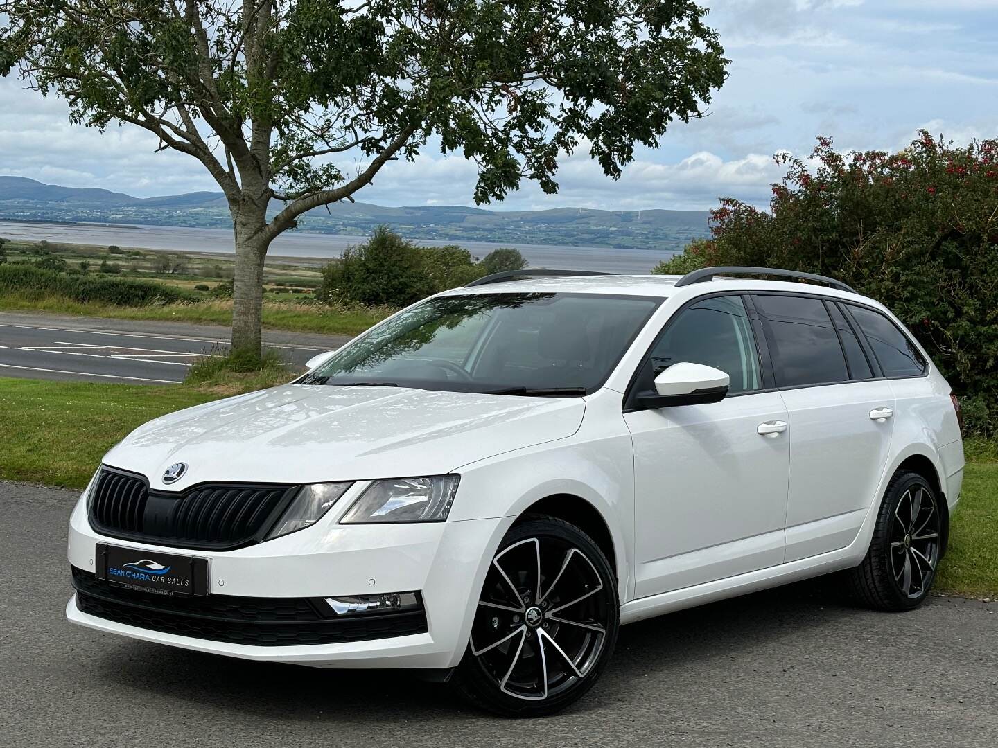 Skoda Octavia DIESEL ESTATE in Derry / Londonderry