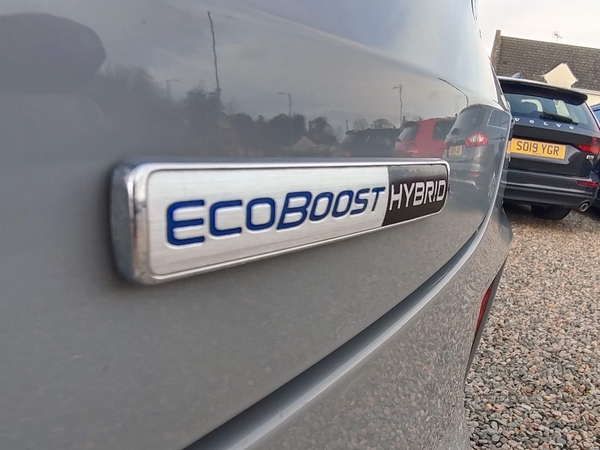 Ford Puma Ecoboost MHEV in Fermanagh