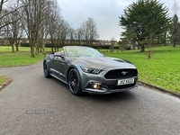 Ford Mustang 2.3L ECOBOOST 2d AUTO 313 BHP in Antrim