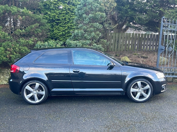Audi A3 HATCHBACK SPECIAL EDITIONS in Tyrone
