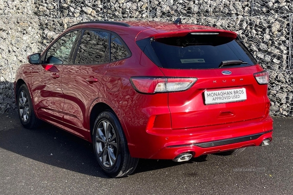 Ford Kuga 1.5 EcoBlue ST-Line 5dr Auto (0 PS) in Fermanagh