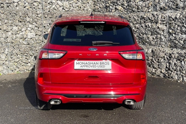 Ford Kuga 1.5 EcoBlue ST-Line 5dr Auto (0 PS) in Fermanagh