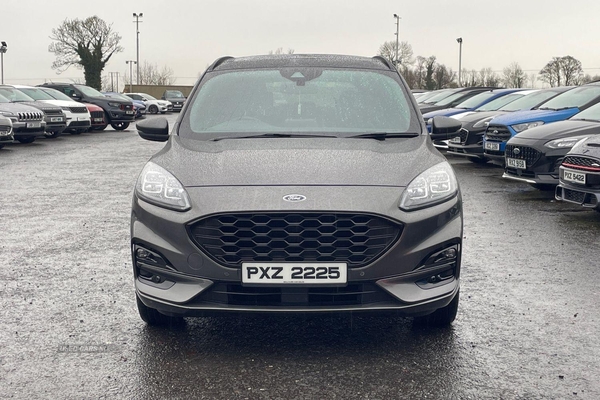 Ford Kuga ST-LINE X EDITION 2.0 ECOBLUE MHEV IN MAGNETIC WITH 42K in Armagh