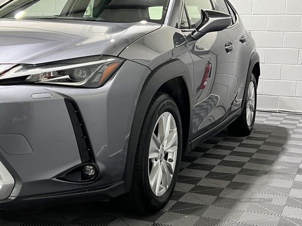 Lexus UX 250h 2.0 E-CVT Euro 6 (s/s) 5dr in Derry / Londonderry