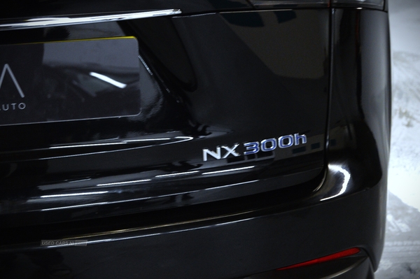Lexus NX-Series ****SORRY NOW SOLD***** in Antrim