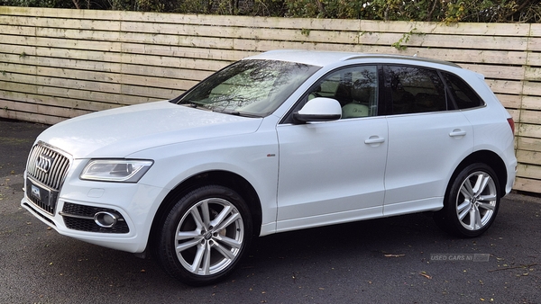 Audi Q5 ESTATE SPECIAL EDITIONS in Antrim