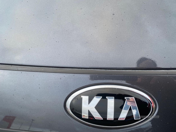 Kia Niro 1.6 Gdi Hybrid 2 5Dr Dct in Antrim