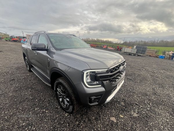 Ford Ranger Pick Up Double Cab Wildtrak 2.0 EcoBlue 205 Auto in Tyrone