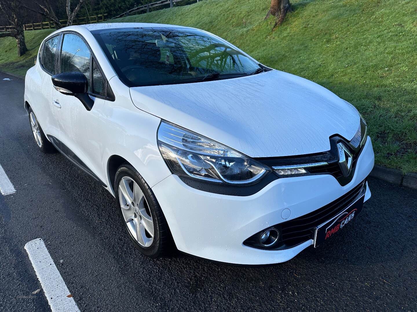 Renault Clio HATCHBACK in Down