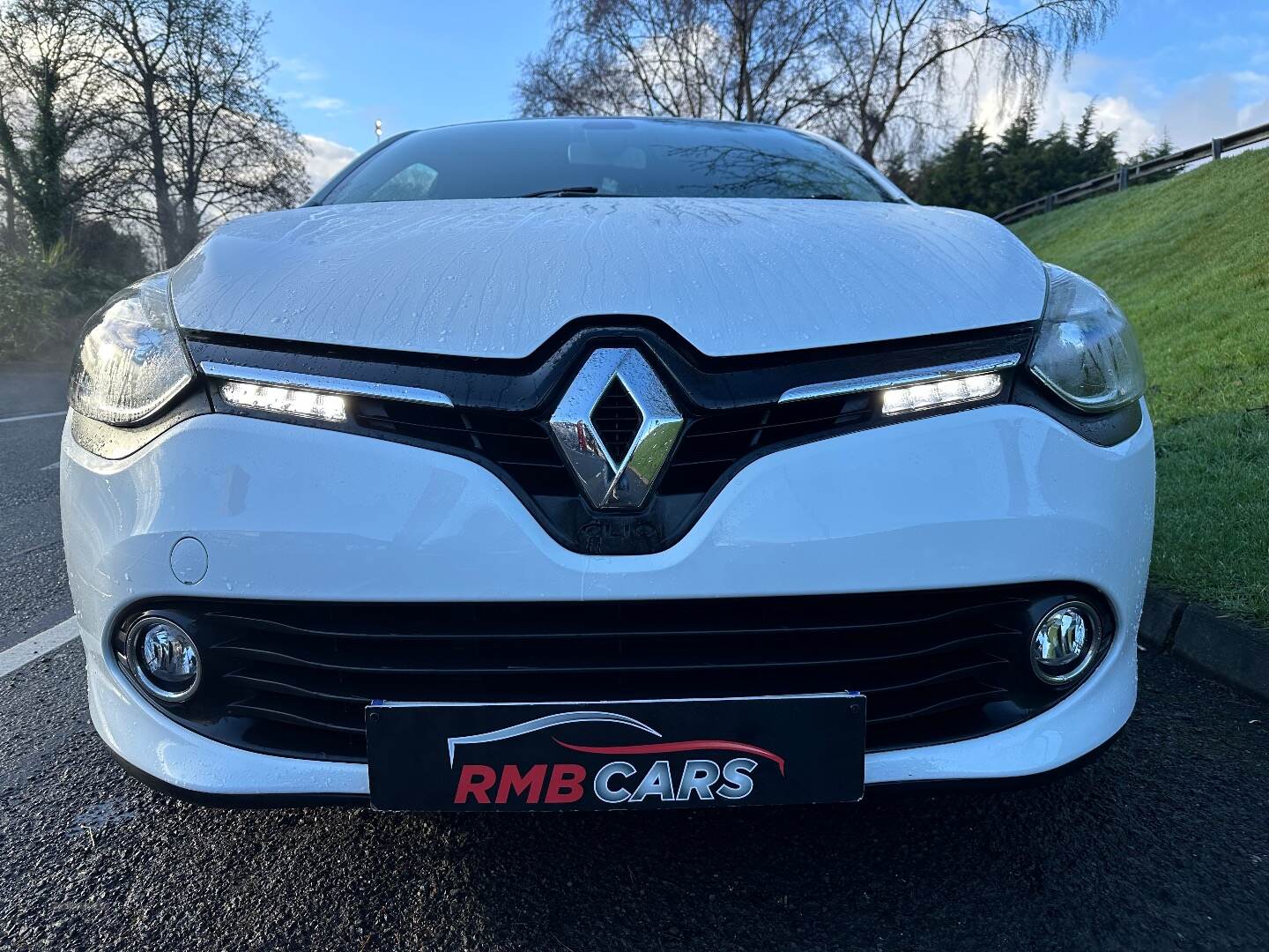 Renault Clio HATCHBACK in Down