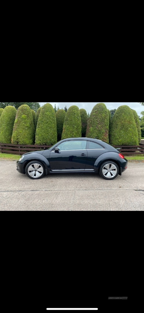 Volkswagen Beetle 2.0 TDI Sport 3dr in Armagh