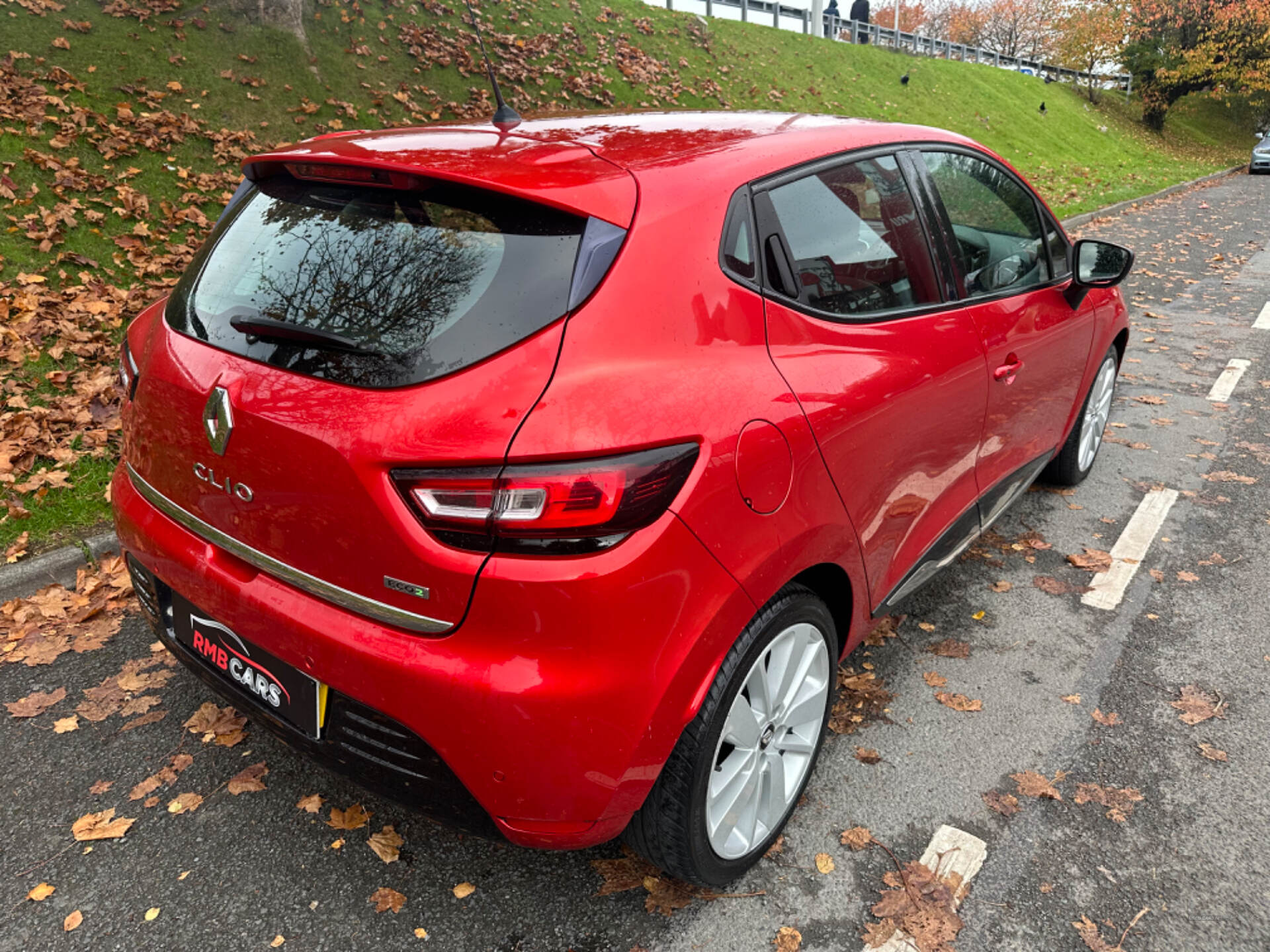 Renault Clio DIESEL HATCHBACK in Down