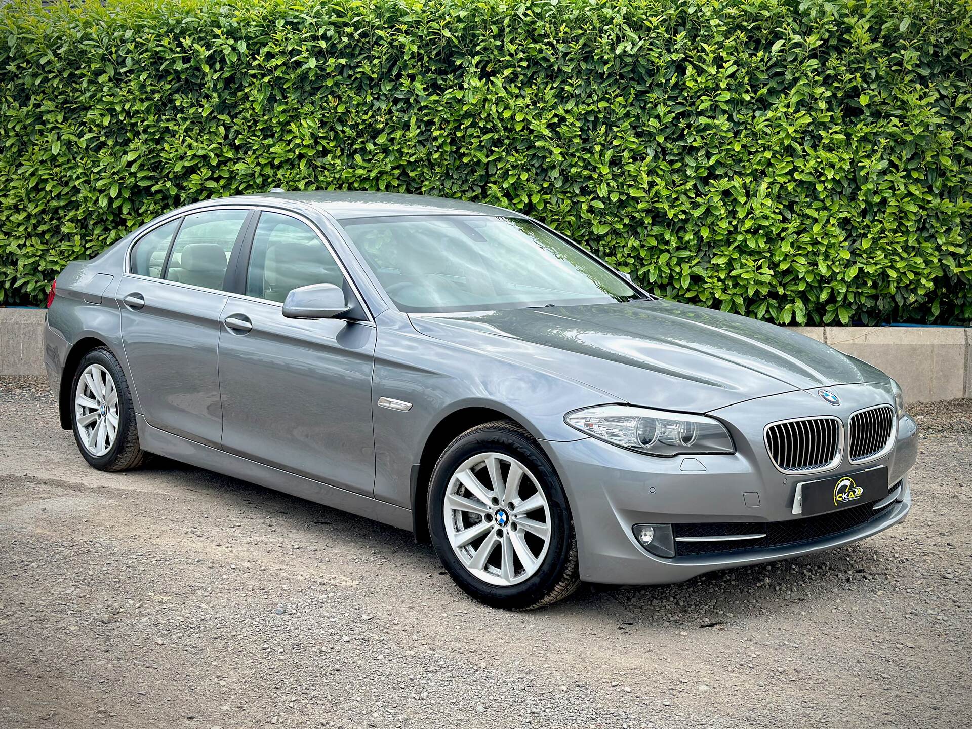 BMW 5 Series DIESEL SALOON in Tyrone