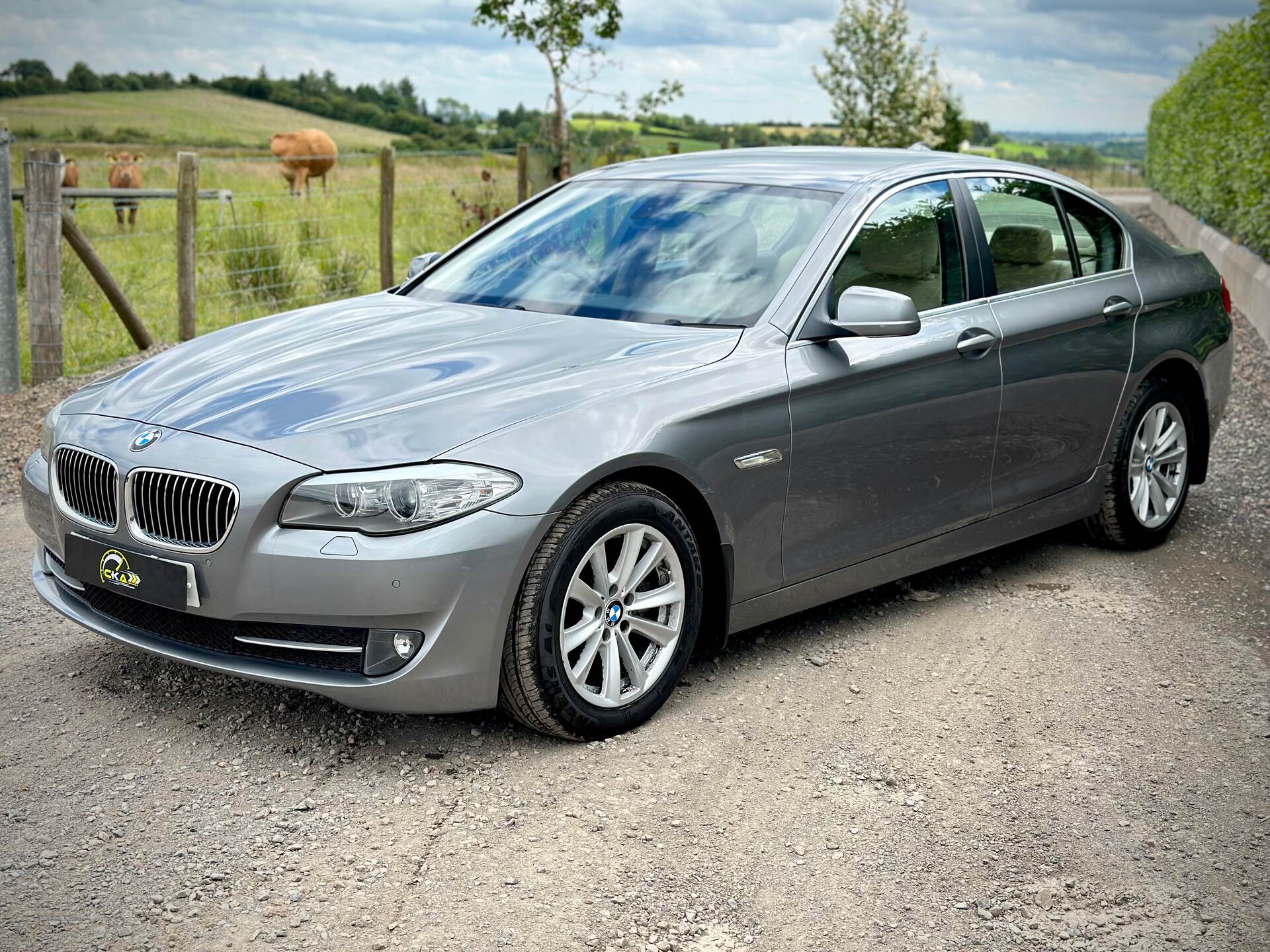 BMW 5 Series DIESEL SALOON in Tyrone