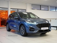 Ford Kuga ST-LINE ECOBLUE MHEV in Tyrone