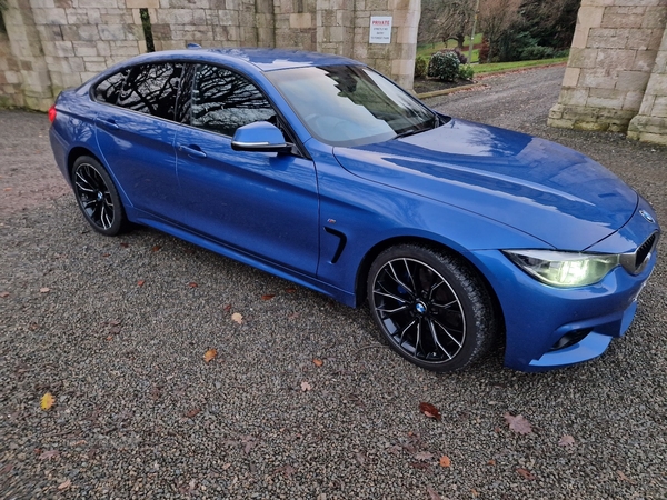 BMW 4 Series 420d [190] xDrive M Sport 5dr Auto [Prof Media] in Derry / Londonderry