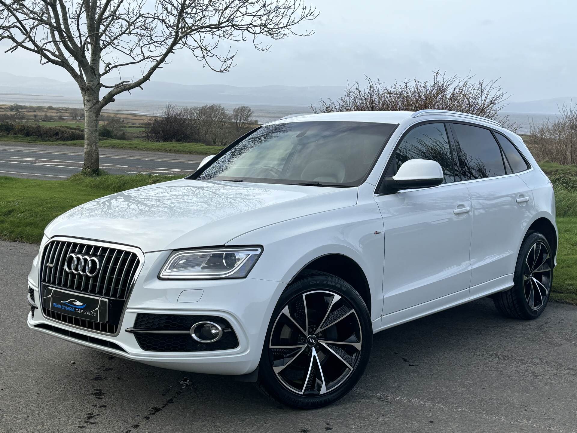 Audi Q5 ESTATE SPECIAL EDITIONS in Derry / Londonderry