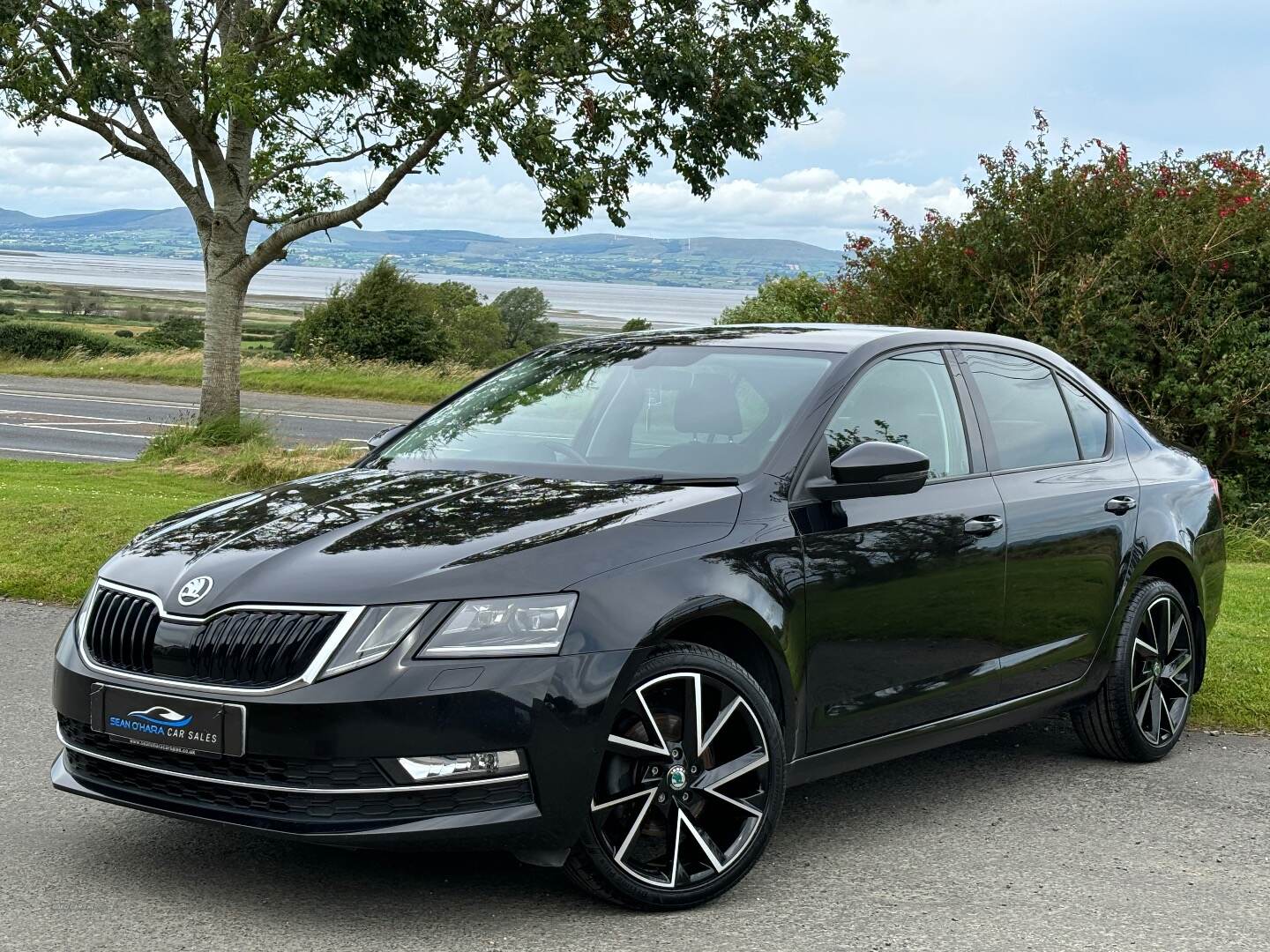 Skoda Octavia DIESEL HATCHBACK in Derry / Londonderry