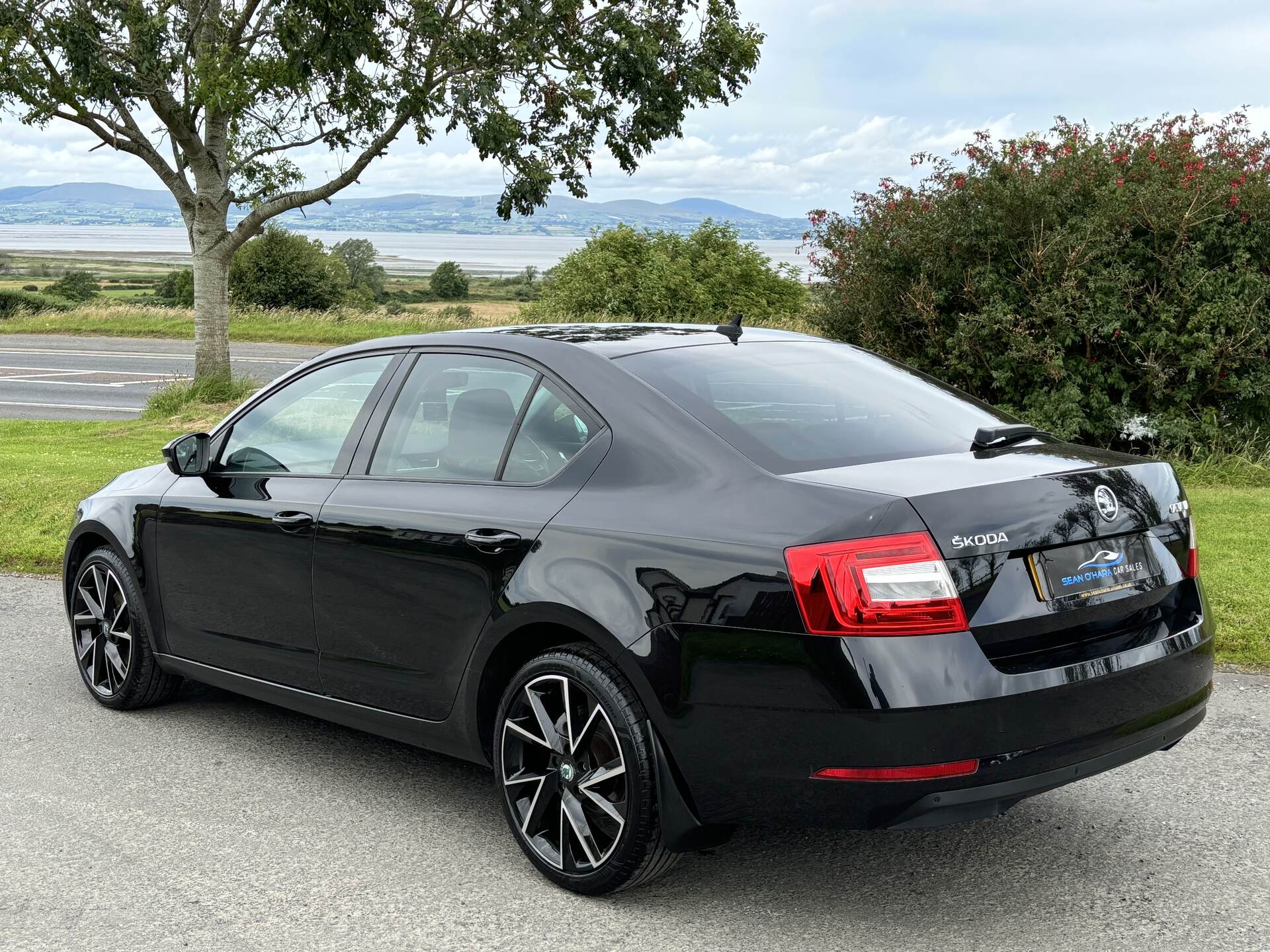 Skoda Octavia DIESEL HATCHBACK in Derry / Londonderry