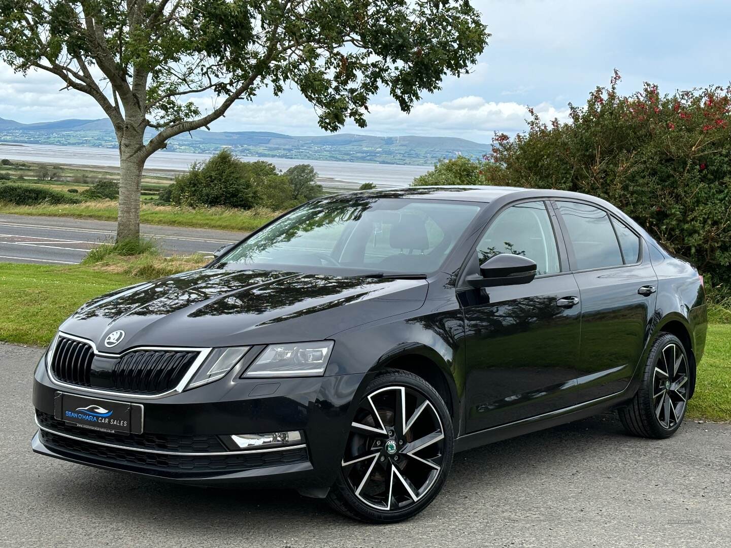 Skoda Octavia DIESEL HATCHBACK in Derry / Londonderry