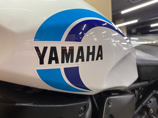 Yamaha Xsr700 Xsr700 (22My) in Antrim