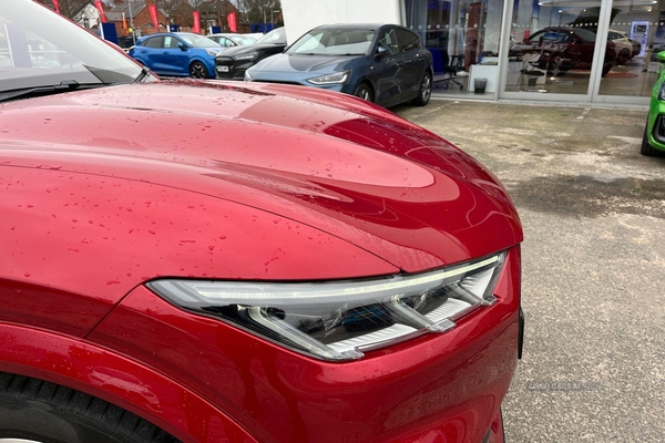 Ford Mustang MACH-E 258kW Ext Range First Edition 88kWh AWD 5dr Auto- 15.5` Central Touch Screen, Panoramic Roof, Heated Front Seats & Wheel, Park Assist, Voice Control in Antrim
