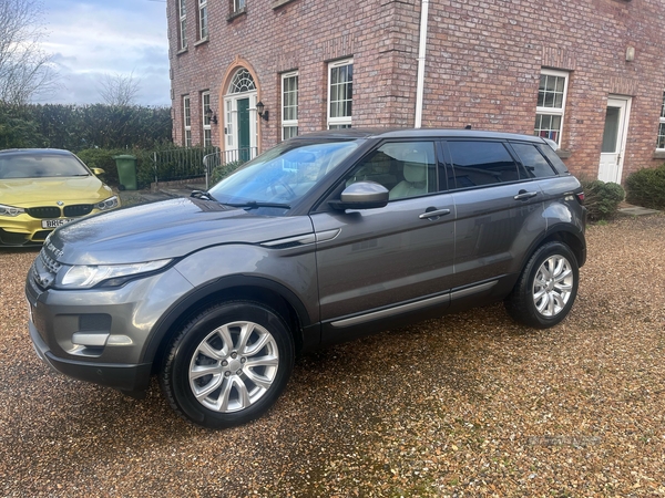 Land Rover Range Rover Evoque 2.2 eD4 Pure 5dr 2WD in Armagh