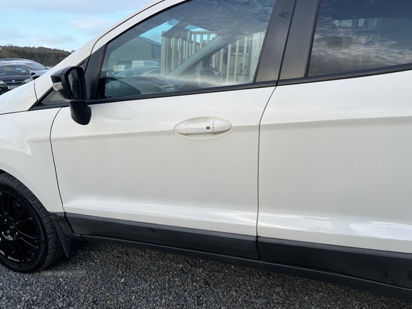 Ford EcoSport HATCHBACK in Down