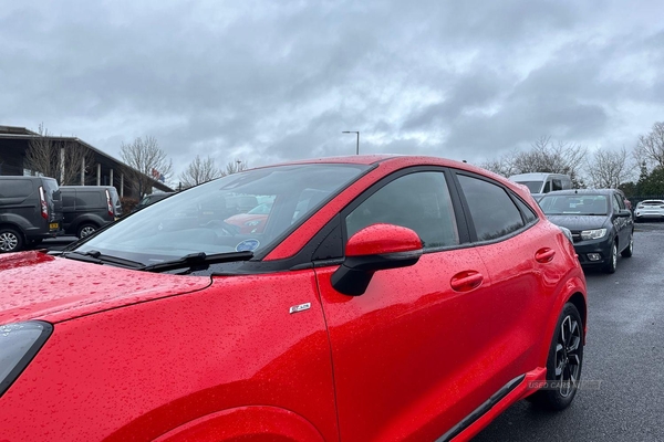 Ford Puma 1.0 EcoBoost Hybrid mHEV ST-Line X 5dr - WIRELESS PHONE CHARGING, SAT NAV, REAR SENSORS - TAKE ME HOME in Armagh