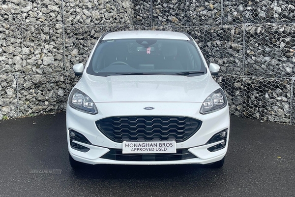 Ford Kuga 2.0 EcoBlue 190 ST-Line Edition 5dr Auto AWD (0 PS) in Fermanagh