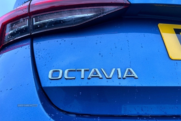 Skoda Octavia 1.5 TSI SE First Edition 5dr - REAR SENSORS, BLUETOOTH, AIR CON - TAKE ME HOME in Armagh