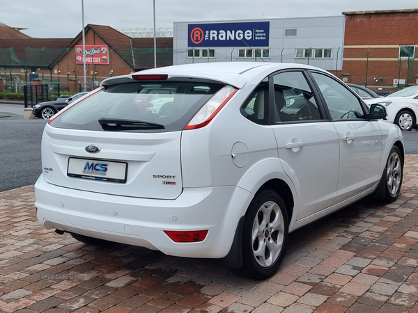 Ford Focus Sport TDCi in Armagh