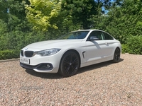 BMW 4 Series 420i Sport 2dr in Down