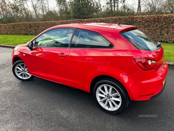 Seat Ibiza SPORT COUPE SPECIAL EDITION in Armagh